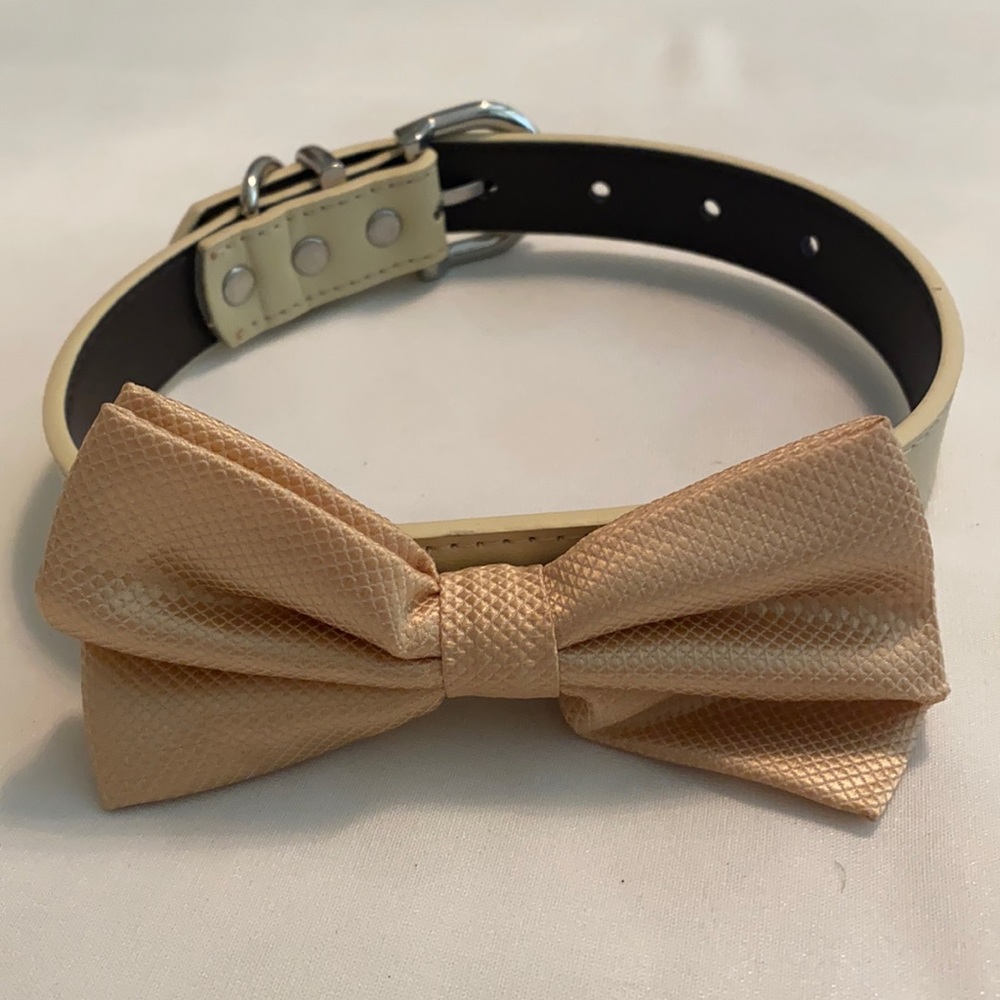 Bow Tie Dog Collar